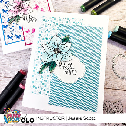 The Paper Escape : 2026 Summer Break w/ OLO