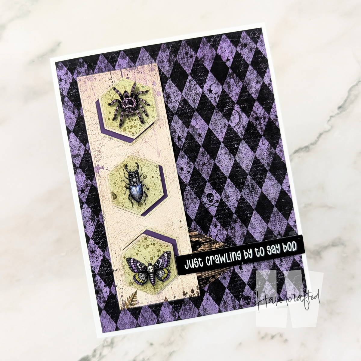 EZ One Sheet: Creepy Crawly